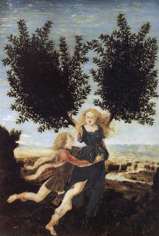 Antonio Pollaiuolo Apollo and Daphne oil painting picture